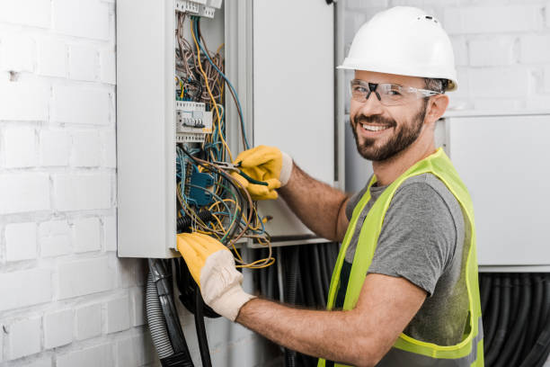 Best Electric Panel Repair  in Swedesboro, NJ