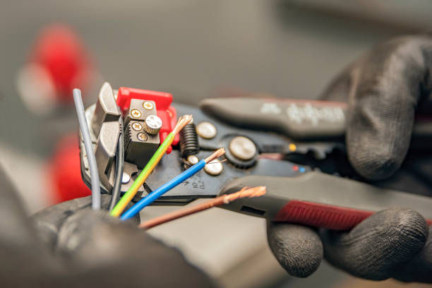 Best Electrical System Inspection  in Swedesboro, NJ